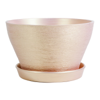 Бокарнейница люкс персик купить