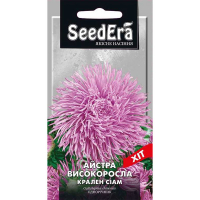 Астра високоросла Краллен Сіам 0,25 г купить