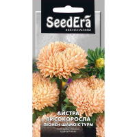 Астра високоросла Піонен Шамоїс Турм 0,25 г купить