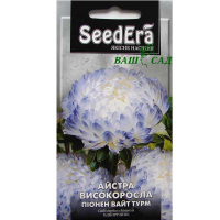 Астра високоросла Піонен Вайт турм 0,25г купить