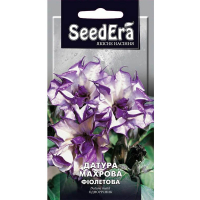 Датура махрова фіолетова 5 шт. купить