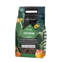 Субстрат Лечуза для кактусiв  ПОН 3л купить