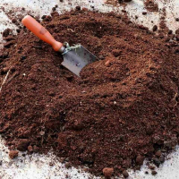 Торф верховий 50л  рН 2,5-4,0 купить