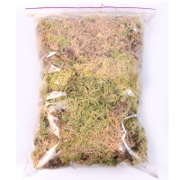 Мох Сфагнум 1 л купить