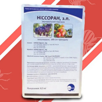 Нисоран 5 г (оригинал) купить