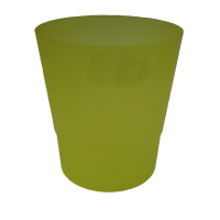 Орхидейница желтая 14 купить