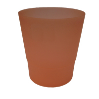 Орхидейница оранжевая 14 купить