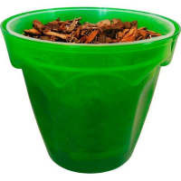 Комплект д/пересадки орхідей Колізей із субстратом купить