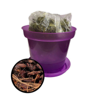 Цена комплекта купить