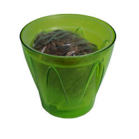 Комплект д/пересадки орхідей Аркада із субстатом 164мм купить