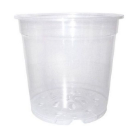 Кашпо SBX 2л прозрачный купить