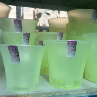 Орхидея 1,8л жовто-прозор купить