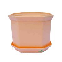 Вазон Дама, персик-10 купить