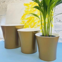 Донна 1,8л золото-белый купить