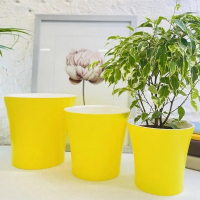 Донна 3,5л желто-белый купить