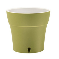 Дали оливковый-серый 2л купить