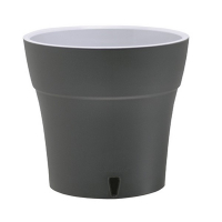 Дали антрацит 2л купить