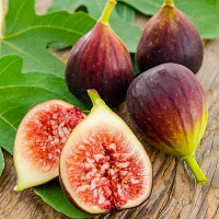 Инжир Розовый купить