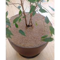 Круг приствольный из кокосового волокна, диаметр 22см купить