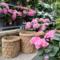 Корзина круглая из морских трав CON-4323 L купить