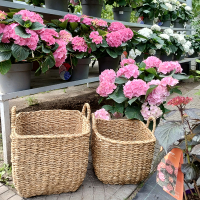 Корзина квадратная из морских трав CON-4300.2 37см купить