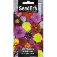Жоржина змінна Фігаро суміш Seedera, 0,5 г купить