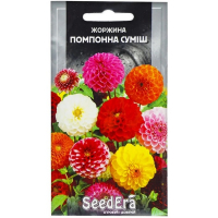 Жоржина помпоновидна суміш Seedera 0,5г купить