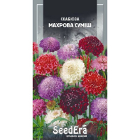 Скабіоза низькоросла махрова суміш Seedera, 0,1 г купить