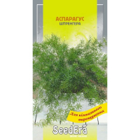 Спаржа (Аспарагус) декоративная Шпренгера Seedera, 0,1г купить