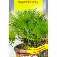 Пальма Вашингтония Seedera 5 шт купить