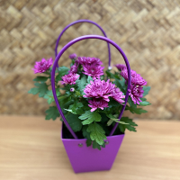 Корзинка из кортона купить