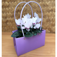 Корзинка из кортона купить