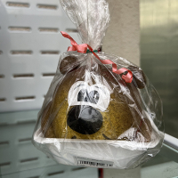 Травянчик Копатич купить